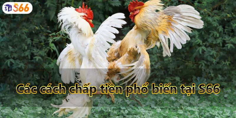 Các cách chấp tiền phổ biến tại S66 