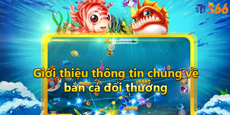 Giới thiệu thông tin chung về bắn cá đổi thưởng