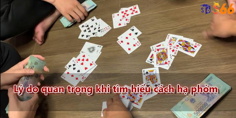 Lý do quan trọng khi tìm hiểu cách hạ phỏm