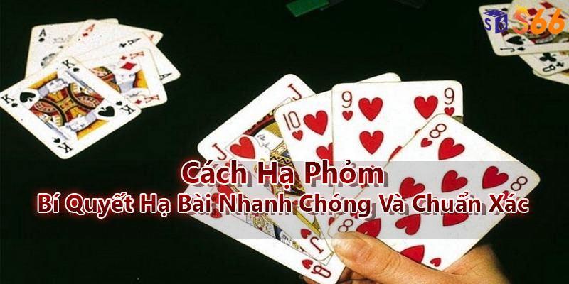 Cách Hạ Phỏm - Bí Quyết Hạ Bài Nhanh Chóng Và Chuẩn Xác