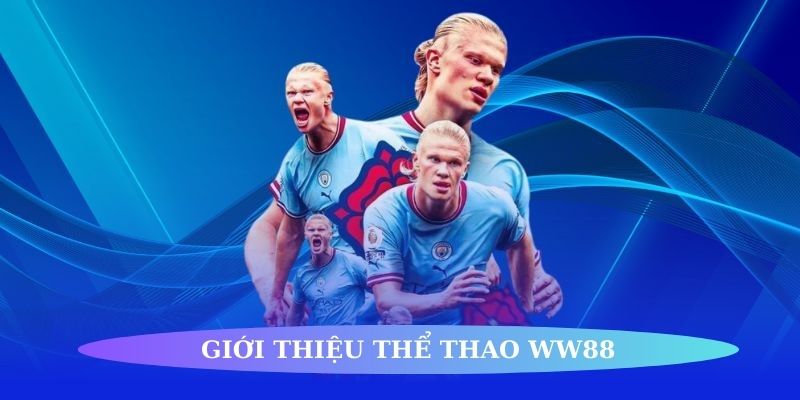 Sàn Đấu Ww88 - Cá Cược Thể Thao Đa Dạng Sống Động Sàn Đấu Ww88 - Cá Cược Thể Thao Đa Dạng Sống Động